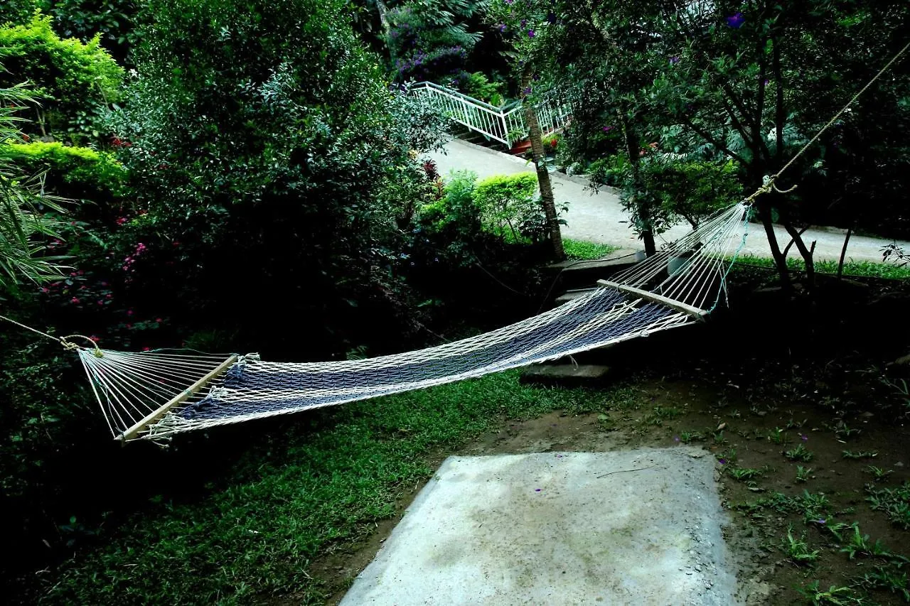Vakantieboerderij The Wayside Cottage Munnar Anachal India