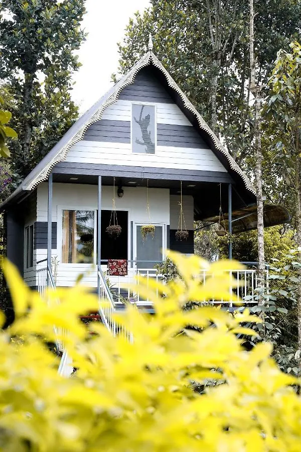 The Wayside Cottage Munnar Anachal