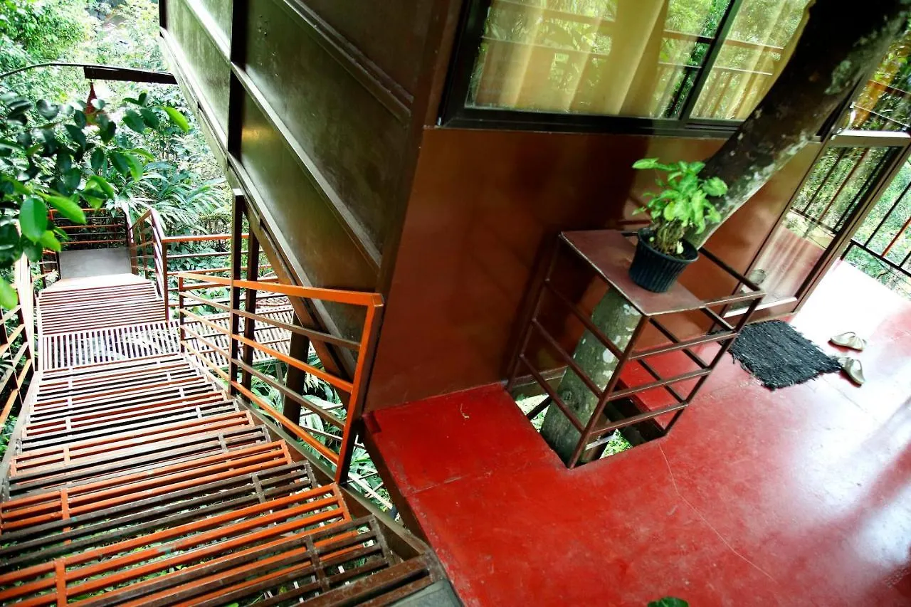 The Wayside Cottage Munnar Anachal