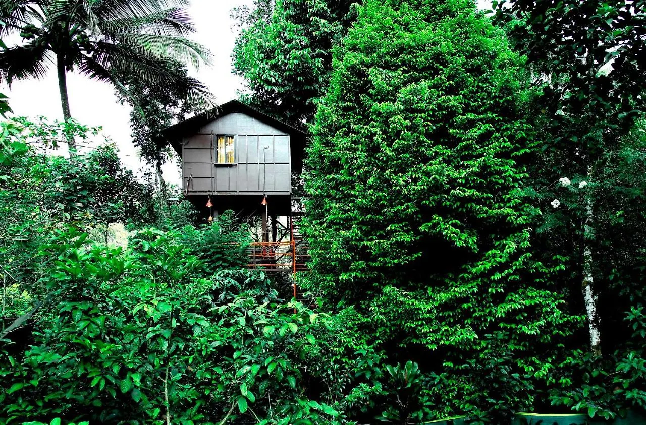 The Wayside Cottage Munnar Anachal India