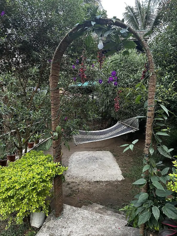 The Wayside Cottage Munnar Anachal 인도