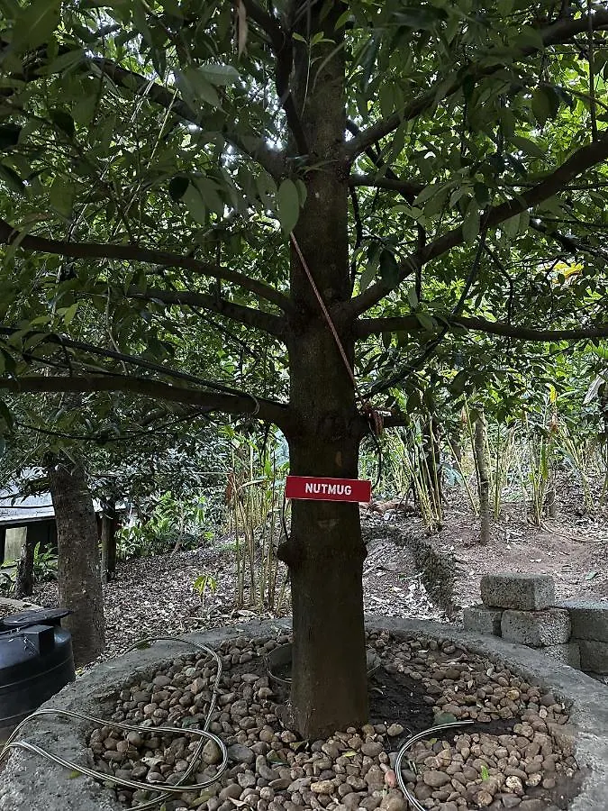 The Wayside Cottage Munnar Anachal 0*,  인도